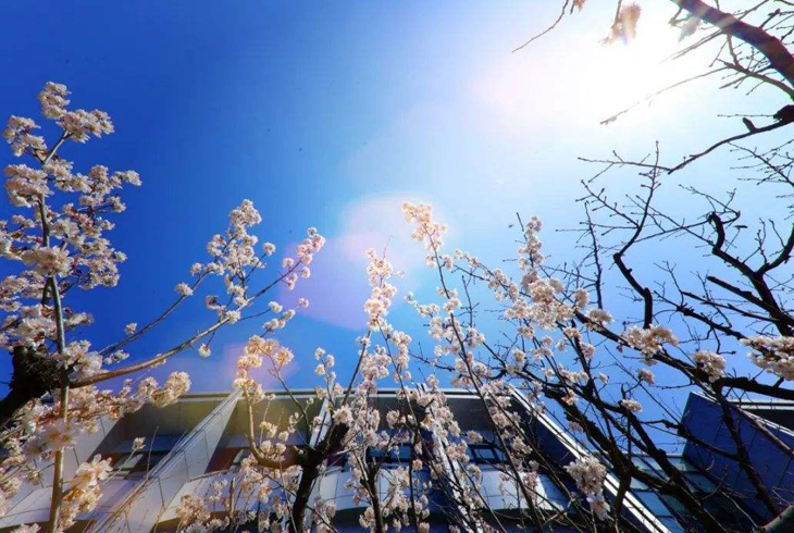 如何關(guān)閉燃?xì)獗趻鞝t的暖氣功能