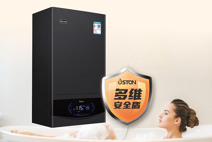 菲思盾壁掛燃?xì)忮仩t