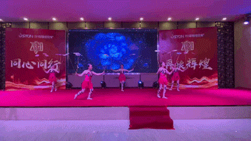 菲思盾2020年年會雜技表